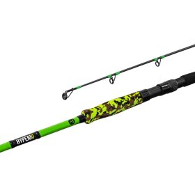 Delphin Hyperio 2 2,10m 120gr 2-teilige Welsrute