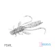 Delphin MANYA UVs Nymphe / 5 Stk. 10.5cm/PEARL
