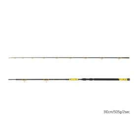Delphin HAZARD BxG 310cm, 505g, 2-teilige Welsrute