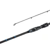 Delphin EXTAZA 24T 300cm/7-25g/2 Teile - Spinnrute