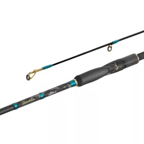 Delphin Zandera NX 230cm 3-21g 2-teilige Spinnrute