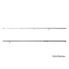 Delphin Wonder LS+ 385cm 3,5lbs 2-teilige Karpfenrute