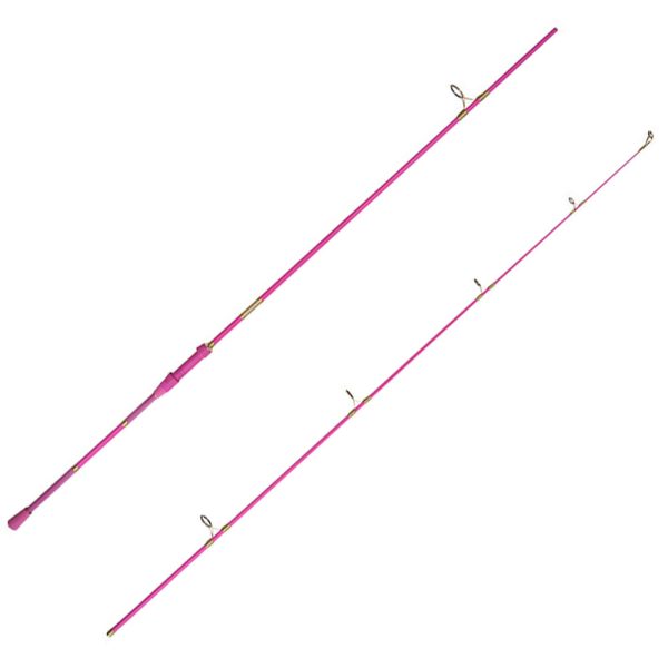 Delphin Queen Candy 2-teilige Karpfenrute 3m