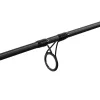 Delphin Symbol Carper 3,00m 3lb 2-teilige Bojlie Rute