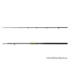 Delphin Energy Catfish 2,50m 250-500gr 2-teilige Welsrute