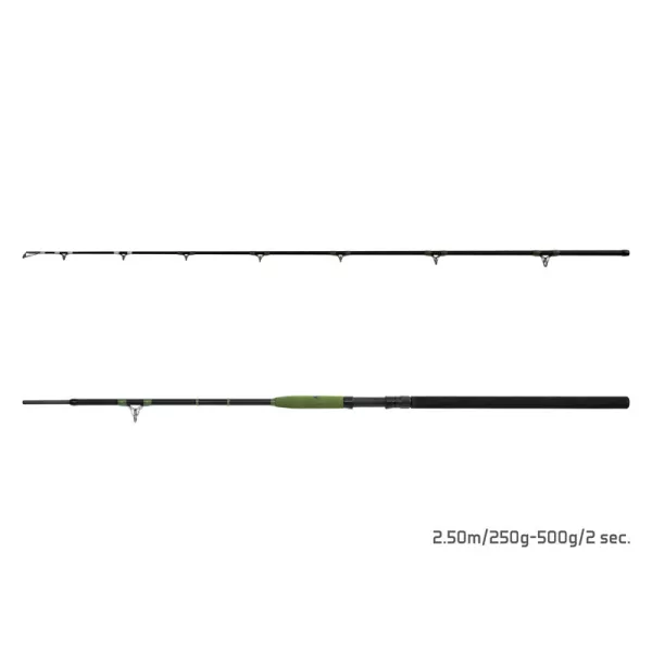 Delphin Energy Catfish 2,50m 250-500gr 2-teilige Welsrute
