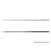 Delphin Energy Catfish 2,80m 250-500gr 2-teilige Welsrute