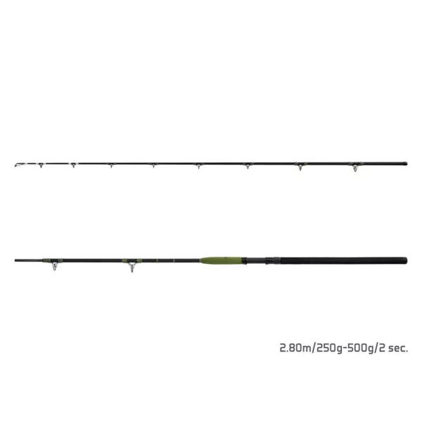Delphin Energy Catfish 2,80m 250-500gr 2-teilige Welsrute