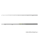 Delphin Energy Catfish 2,80m 250-500gr 2-teilige Welsrute