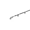 Delphin Energy Catfish 2,80m 250-500gr 2-teilige Welsrute