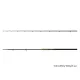 Delphin Energy Catfish 3,10m 250-500gr 2-teilige Welsrute