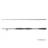 Delphin MonstaX 1,70m 150gr 2-teilige Welsrute