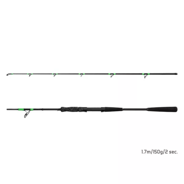Delphin MonstaX 1,70m 150gr 2-teilige Welsrute