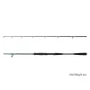Delphin MonstaX 1,90m 150gr 2-teilige Welsrute