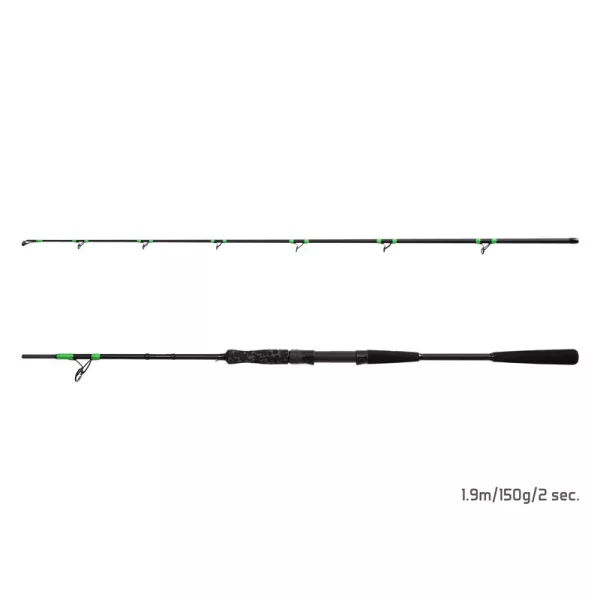 Delphin MonstaX 1,90m 150gr 2-teilige Welsrute