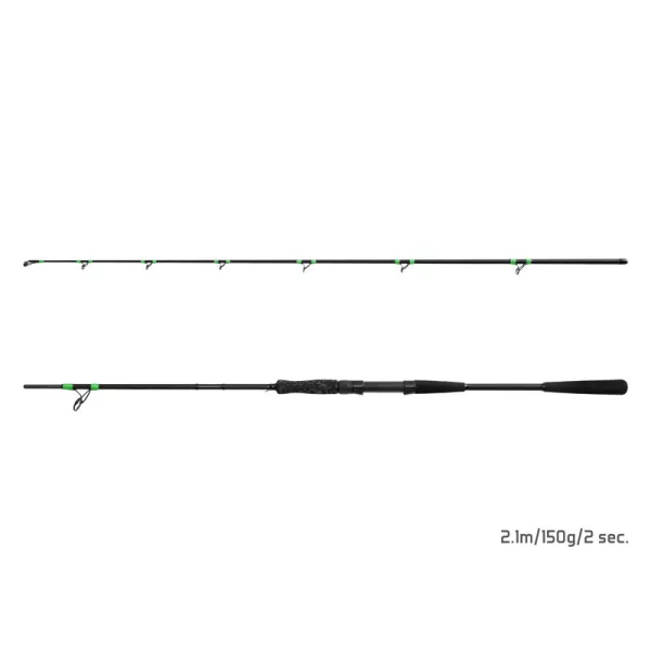 Delphin MonstaX 2,10m 150gr 2-teilige Welsrute