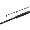 Delphin MonstaX 2,10m 150gr 2-teilige Welsrute