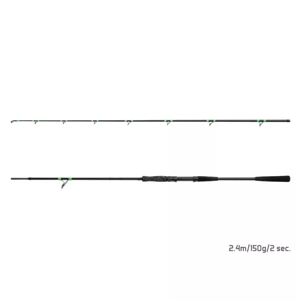 Delphin MonstaX 2,40m 150gr 2-teilige Welsrute