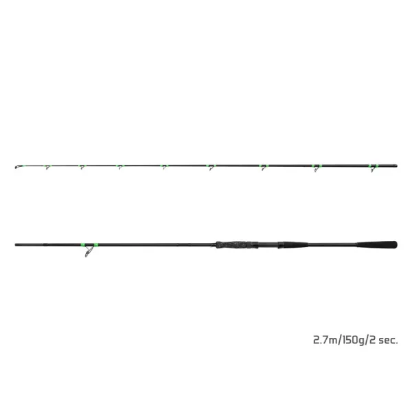Delphin MonstaX 2,70m 150gr 2-teilige Welsrute