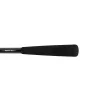 Delphin MonstaX 2,70m 150gr 2-teilige Welsrute