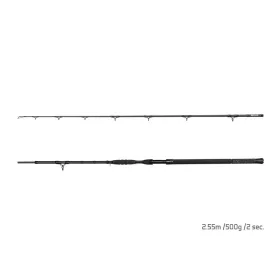 Delphin Hazard Darx 2,55m 500gr 2-teilige Welsrute