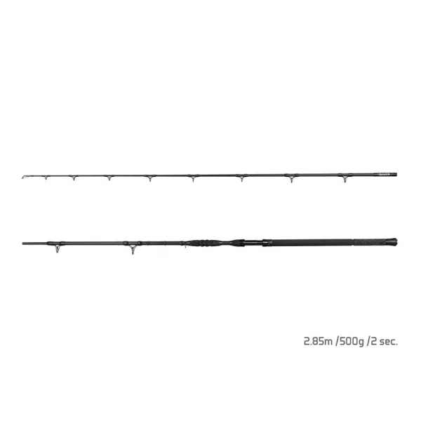 Delphin Hazard Darx 2,85m 500gr 2-teilige Welsrute