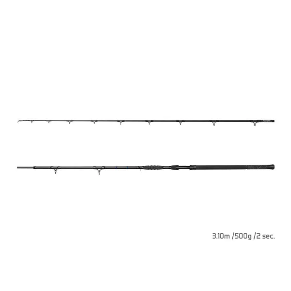 Delphin Hazard Darx 3,10m 500gr 2-teilige Welsrute