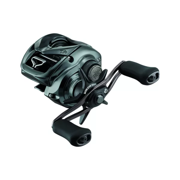Daiwa 24 Tatula SV TW 100 Baitcasting Rolle