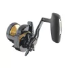 Daiwa 24 Saltiga L 15 Multirolle