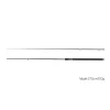 Delphin MURENA Spinning 300cm 100gr - Spinning - 2-teilige Spinnrute