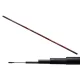 Carp Expert Evolution Power Pole 6m 5-35gr Kopfrute