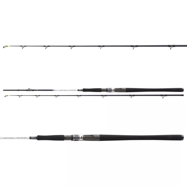 Daiwa GrandWave Power Halibut 2,25m 30-40lb 2-teilige Meeresrute