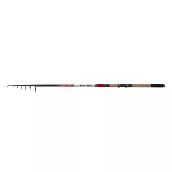 CarpExpert Uni Tele Teleskoprute 300cm 30-80gr - Kork EVA Angelrute