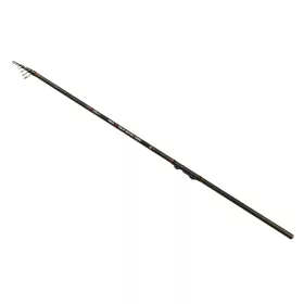 Carp Expert Max2 4,00m 5-25gr 4-teilige Telematch Rute