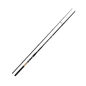 Kamasaki Big Fish 3,00m 40-80gr 2-teilige Welsrute
