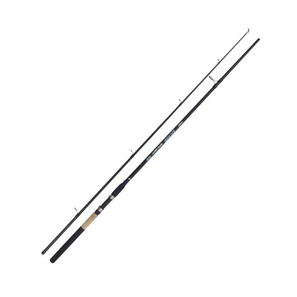 Kamasaki Big Fish 3,00m 40-80gr 2-teilige Welsrute