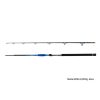 Delphin Hazard 3,10m 500gr 2-teilige Welsrute