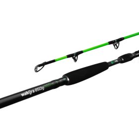 Delphin Walkyra 3,00m 850gr 2-teilige Welsrute