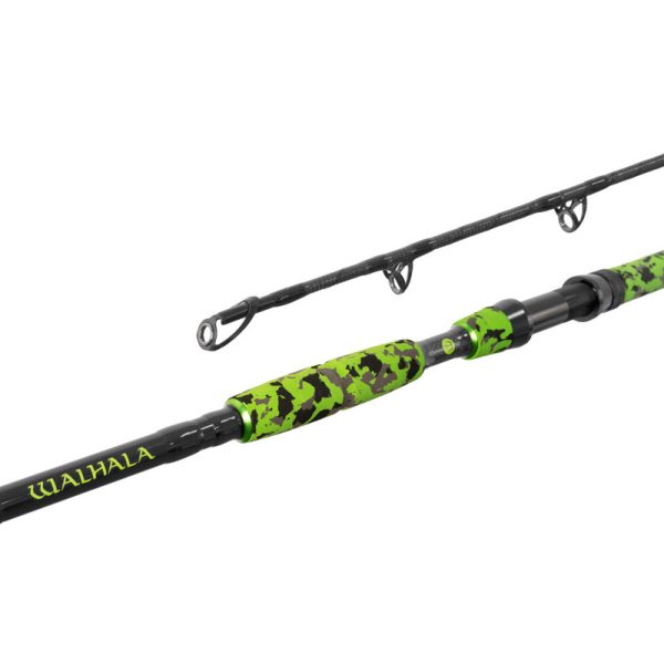 Delphin Walhala 3,00m 950gr 2-teilige Welsrute