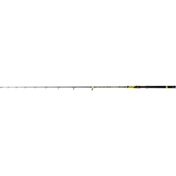 Black Cat 2,10m Perfect Passion Allstar Testkurve: 200g S: 300g - Welsrute
