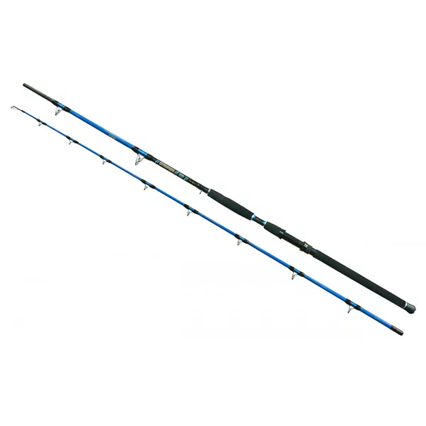 Wizard Cat Pro Power 2-teilig 600-800gr 3,00m Welsrute