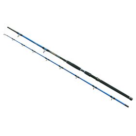 Wizard Cat Pro Power 2-teilig 800-1000gr 3,00m Welsrute