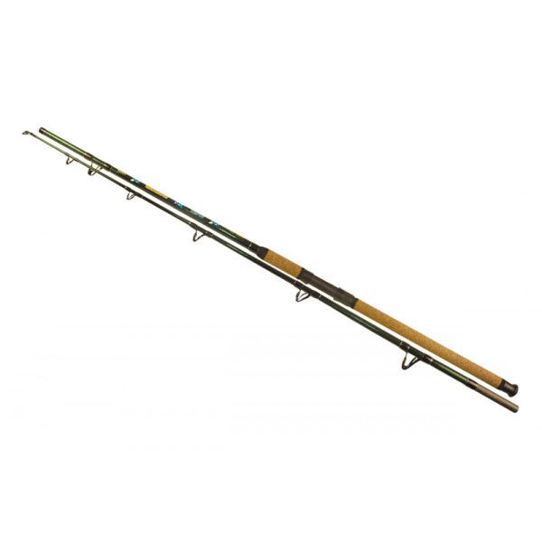 Wizard Catfish Shadow 2,70m 700-900gr 2-teilige Welsrute