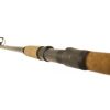 Wizard Catfish Shadow 2,70m 700-900gr 2-teilige Welsrute