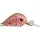 Rapture Pro Hot Buzz Area S CAS 2,5cm 3gr Wobbler