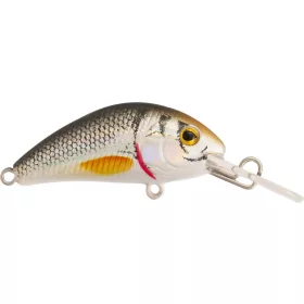 Rapture Pro Evoque F NTR 4cm 3,5gr Wobbler