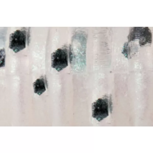 Rapture ULC Alien Craw 2.5cm 0,5gr Pearl Blue Gummiköder 12 Stk.