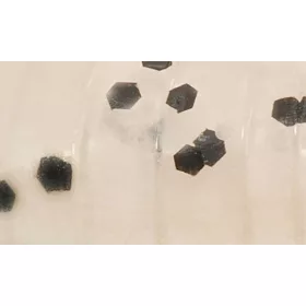   Rapture ULC Hellgrammite 3,3cm 1gr Pearl Blue Weichgummiköder 8 Stück