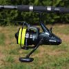 NEVIS Torrent Carp 5000 5+1BB Freilaufrolle