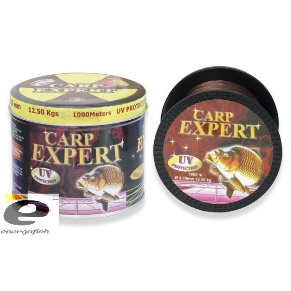 Schnur Carp Expert Uv 0,25Mm 1000M in Metalldose